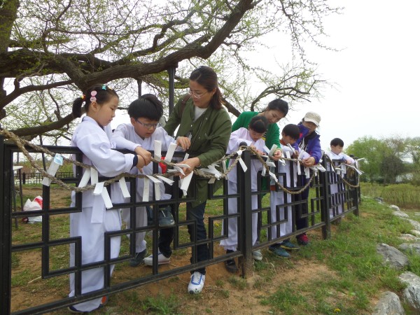 칠석동은행나무