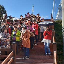 전남 진도 문화유적답사 이미지