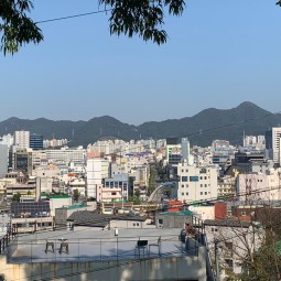 사직공원에서 바라본 사직동모습 이미지